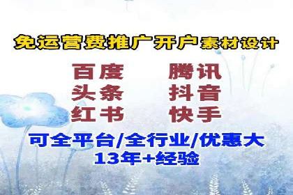 电商SEM推广案例解析